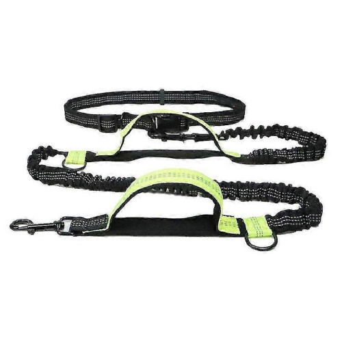 (Vert) Ceinture de laisse mains libres r??glable pour chiens 2
