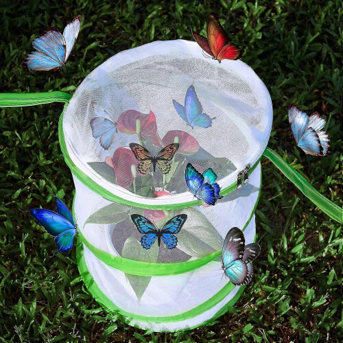 2 Pieces Foldable Insect Butterfly Perch Cage Giant Foldable Caterpillar Perches 1