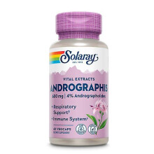 Solaray Andrographis Aerial Extract, 60 Caps (Pack of 1)