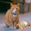 Pet Dining Table with Removable Ceramic Bowls, Tilted Orthopedic Feeding Dishes for Comfortable Feeding 4