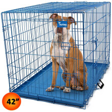 Actiaspet Blue 42in Dog Metal Training Cage