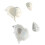 Conch Shape Silicone Mold Storage Box Moulds for Candle Cups and 1