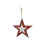 Metallisches sternförmiges Ornament für saisonale-05 1