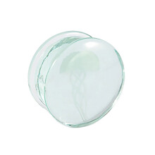 Premium Glass Ear Stretchers with Jellyfish Pattern-4 8mm