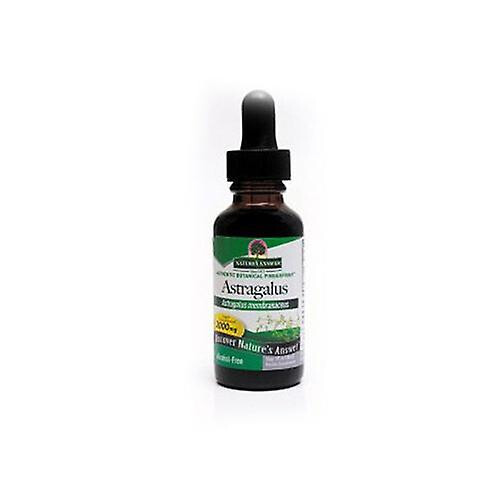 Nature's Answer Astragalus, Extract 1 FL Oz (Pack of 1)