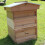 National Cedar Beehive with Gabled Roof Flat-Packed 6