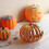 (14*19.5cm) Twinkle LED Light Pumpkins, Timer Lighted Sparkling Starry Night Glass Pumpkins 5