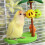 Easy to Install Parrots Plaything Support Natural-Yellow 6