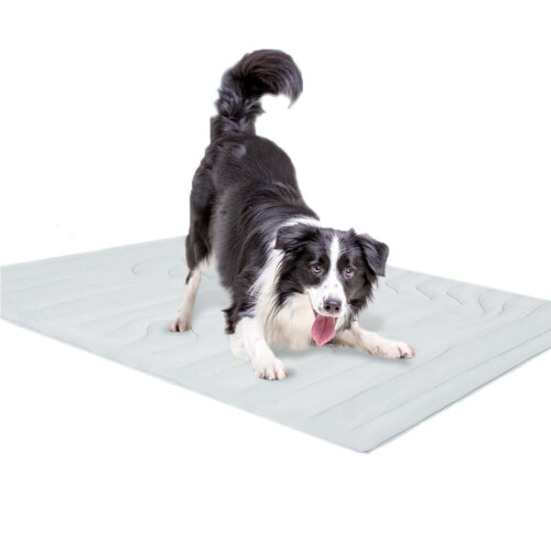 Portable Ice Feel Organisms Freezing Pad Soft Blanket-Gray S