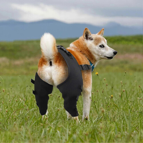 Adjustable Canine Hip Brace with Leg Support and Protective Joint Wrap for Recovery(L) 2