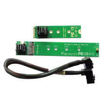 22110 NVMe M.2 SSD a Scheda Adattatore 2280 Adattatore da 2280 a 22110 Cavo Prolunga Portatile Multifunzione