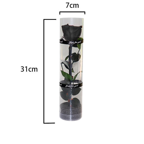 Eine echte konservierte Rose, eine ewig blühende Rose, eine langlebige Rose, eine Rose mit ewiger Blüte 1