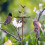 Dekorativer Blumentopf für den Außenbereich, Vogelfutterstation, 4