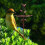 Dekorativer Blumentopf für den Außenbereich, Vogelfutterstation, 5