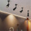 10-60 Adjustable Narrow Beam Zoomable Spotlight 7W 3000K Ceiling Mounted Light with Zoom Function 5