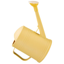 Long Spout Watering Can with Detachable Shower Head, Lightweight for Indoor Outdoor Plants