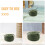 Sisal Robuste Vert Pour Griffoir DIY Chat 6