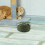 Sisal Robuste Vert Pour Griffoir DIY Chat 9