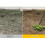 Ergonomic Handheld Weeder Tool For Fast And Safe Removal Of-5 7