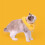 Collier Anti-Léchage Ajustable En Coton PP Pour Animaux 9