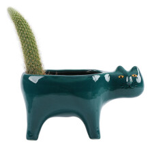 Cute Cat Ceramic Garden Flower Pot Animal Image Cactus Plant Planter Succulent Plant Container Tabletop Decoration Green