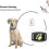 Smart GPS-spårare för katt och hund 3