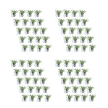 80 Pcs Air Plant Holder, Plant Pot Tillandsia Holder Air Plant Hanger with Suction Cup for Hanging (Plants Not Included)