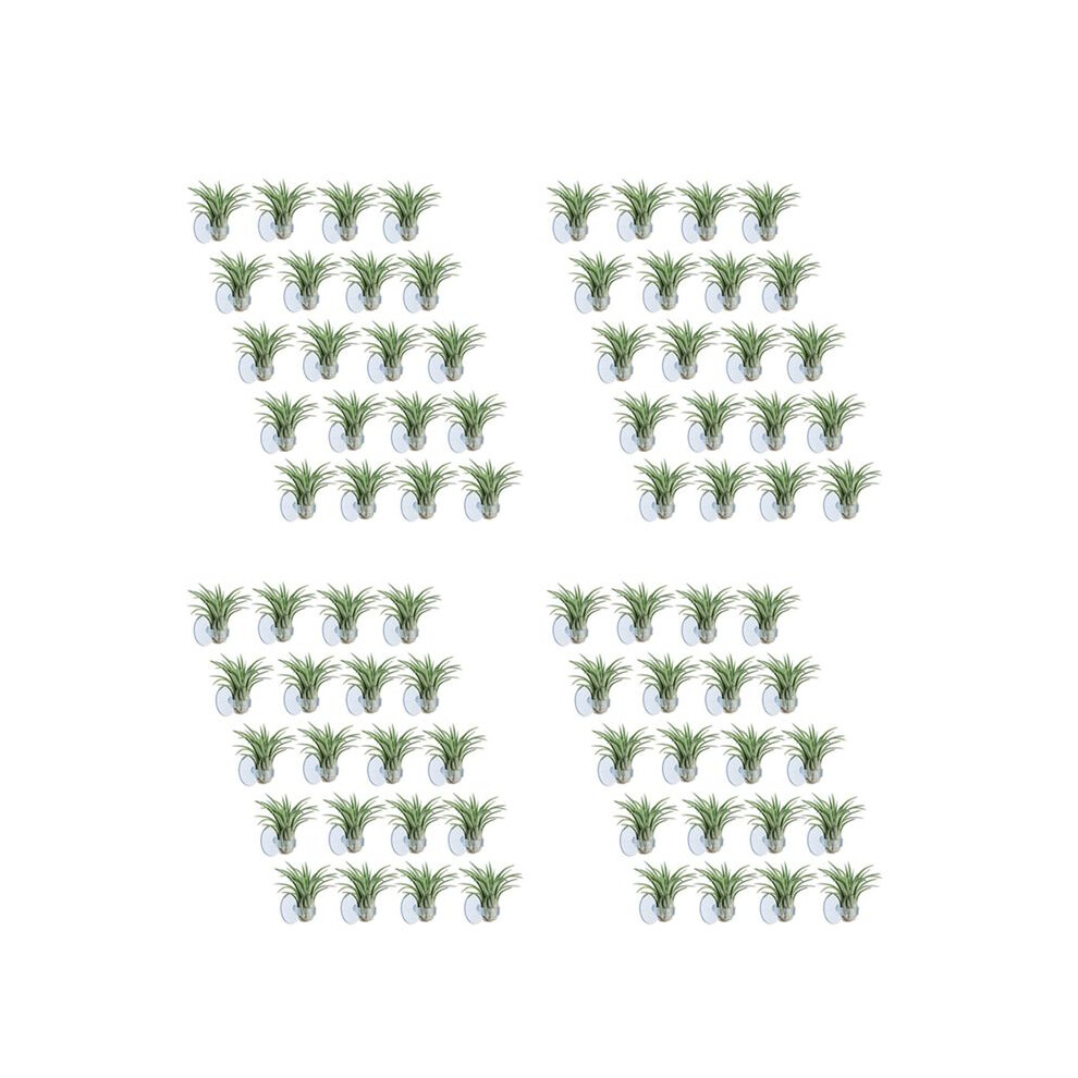 Brecantia 80 Pcs Air Plant Holder, Plant Pot Tillandsia Holder Air Plant Hanger With Suction Cup For Hanging (Plants Not Included)