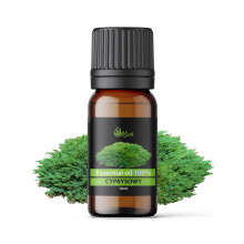 100% Naturalny Olejek Eteryczny | CYPRYSOWY | AROMATERAPIA | 10ml