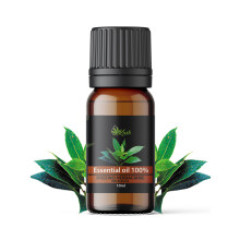 100% Naturalny Olejek Eteryczny | DRZEWO MELALEUCA | AROMATERAPIA | 10ml