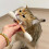 Creative Felt Cotton Swabs Kitten Toy Soft-Green 1pcs 3
