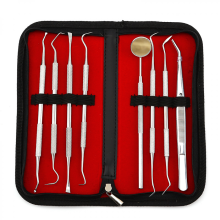 Set de îngrijire dentară pentru îndepărtarea tartrului cu 8 bucăți, set dentar, instrument dentar/dentist, curățarea dinților, sondă denta