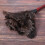 5X Ostrich Cleaning Feather Duster Ostrich Duster Ostrich Feather Duster Soft Feathers Duster 6
