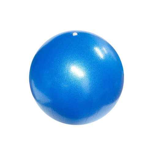 Grote opblaasbare hondenspeelgoedbalblaas voor-25 cm