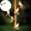 Energy Saving Solar Bird Light String Decorative Lamp For 3