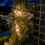 Energy Saving Solar Bird Light String Decorative Lamp For 6
