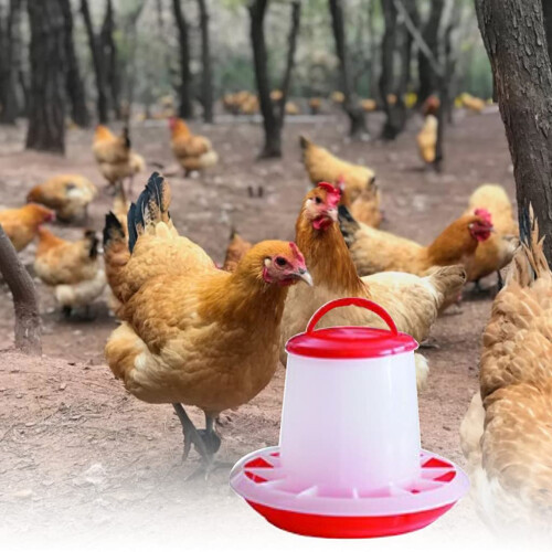 Automatic Chicken Feeder 1.5Kg Durable Plastic Hanging Poultry Food Dispenser with Handle 2