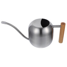 Stainless Steel Watering Can with Wooden Handle, Long Spout for Precise Indoor Plant Watering