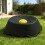 Plat pour chien à alimentation lente avec boule-Noir et bleu 4