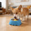 Interactive Licking Ball Slow Feeder Dog Lick Bowl for-Blue 7