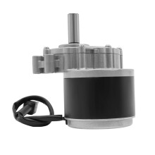 2X 250W 24V 75r/Min Gear Brush Motor Beach Bike Motor Track Vehicle Wheelchair Used Electric Scooter ATV Motor