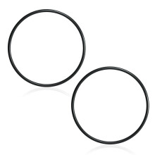 ORing for Pentair Pool Pump 354533 OEM Fit Replacement for StaRite Dynamo Seal 2 Pack LeakProof Design