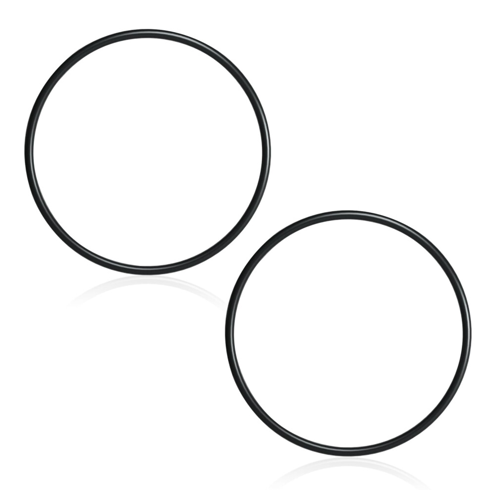 Oring For Pentair Pool Pump 354533 Oem Fit Replacement For Starite Dynamo Seal 2 Pack Leakproof Design 9073542177012