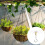 Adhesive Ceiling Hooks 16PCS Ceiling Hanger Hooks Eye Hooks for Suspending Small Plants Wind Chime Hanger for Kitchen 8