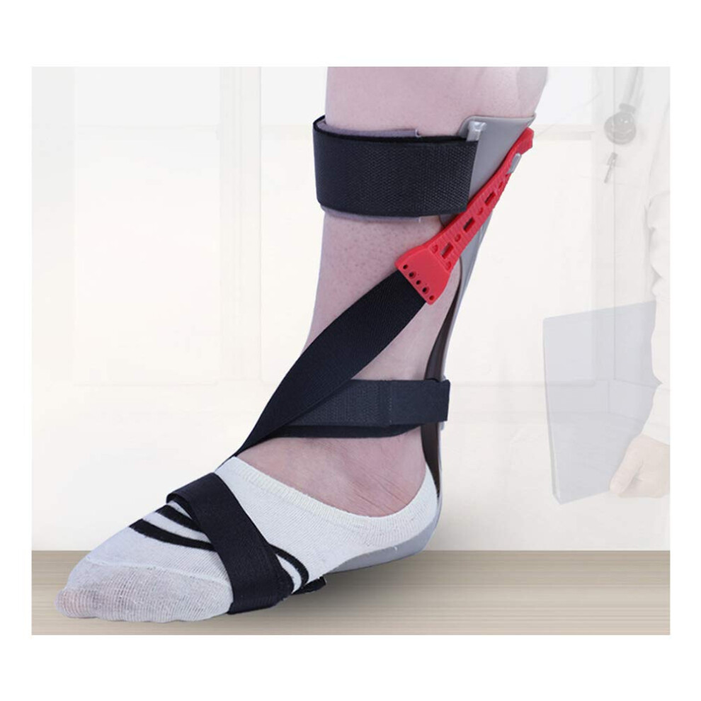 Adjustable Ankle Support Brace for Foot Varus and Valgus Correction, Lightweight PP Stabilizer L