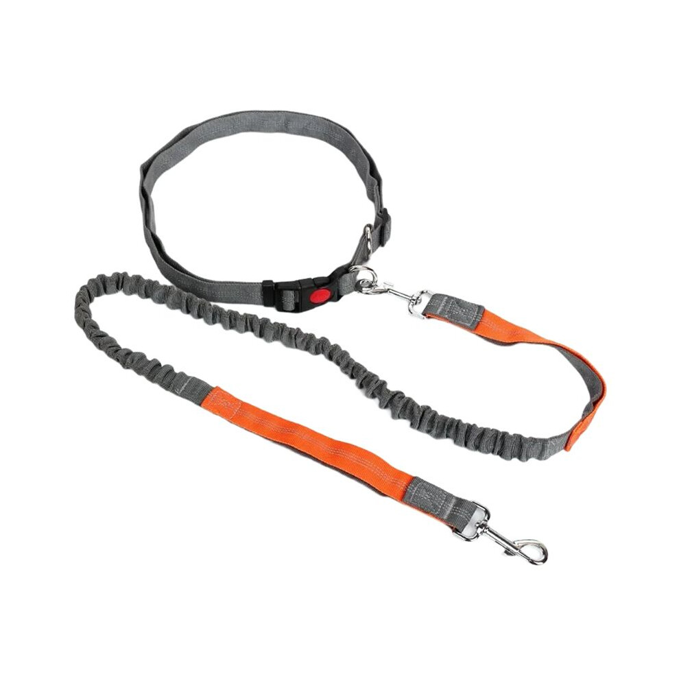 Retractable Dog Leash With Adjustable Waist Rope Hand Free Running Jogging Cycling Dogs Pet Elasticity Lead C 6031929484538