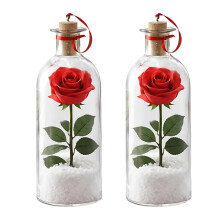 Recordable Voice Bottle with Playback Cork Ornament-W 2pxc