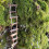 Mini Wooden Rope Ladder Wall Hangs,Miniature-C type 20 ladders 6