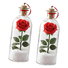 Flaschenpost mit Rosenblüten, aufnehmbare Sprachflasche,-W 2pxc