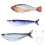 Interactively Flopping Fish Cats Toy 3 Motion Models Catmint 1